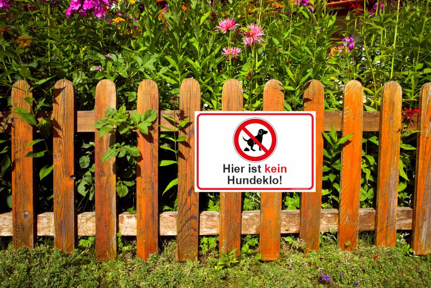 Gelbes Hundekloschild im Querformat an Holzzaun