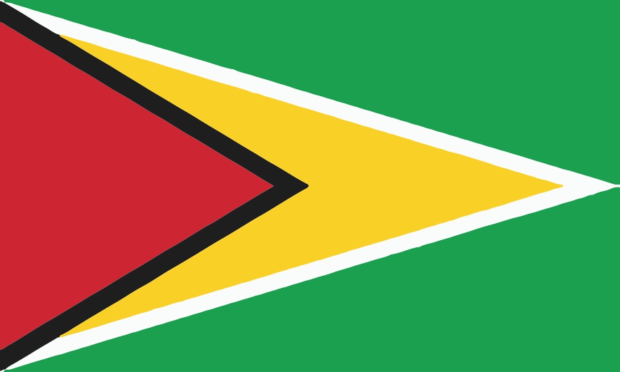 Nationalflagge Guyana