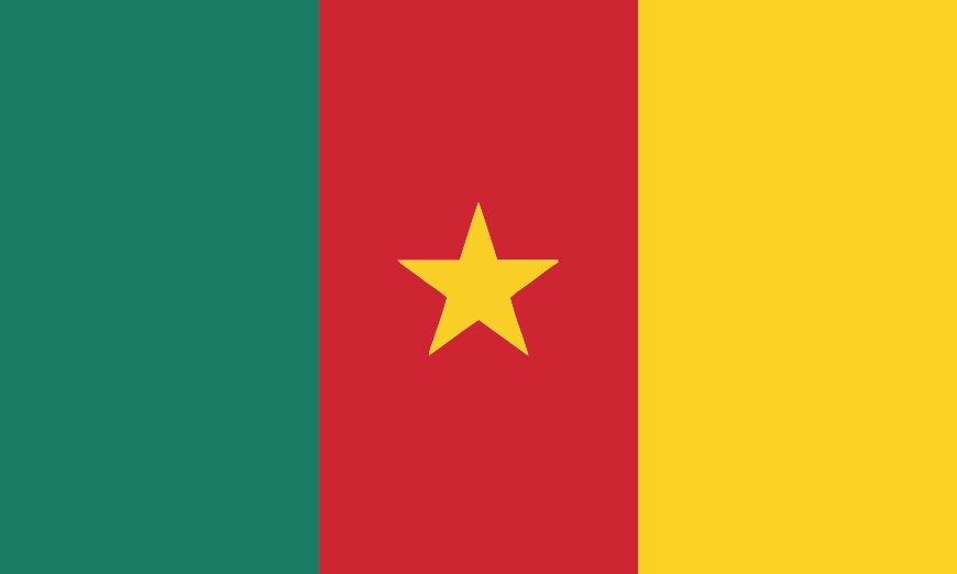 Nationalflagge Kamerun