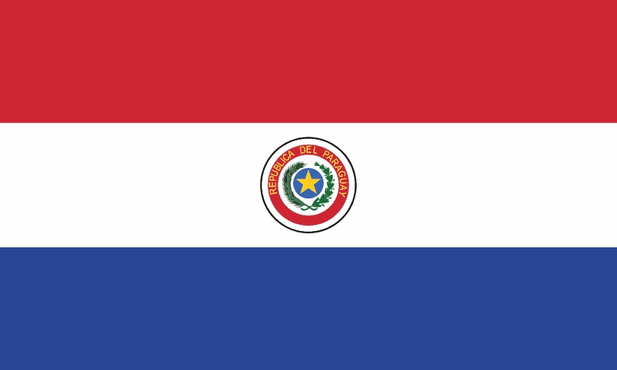 Nationalflagge/Fahne Paraguay