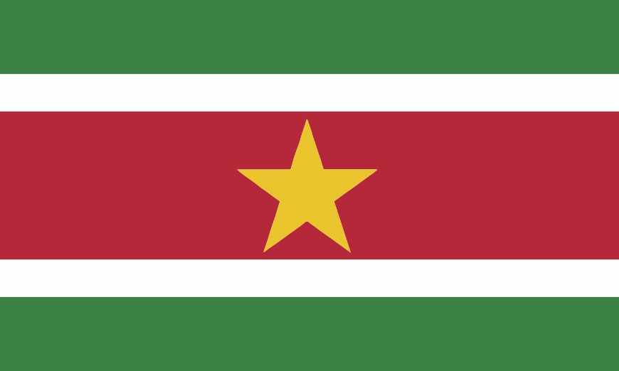 Nationalflagge/Fahne Suriname