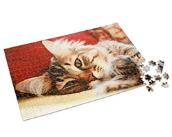 Foto-Puzzle