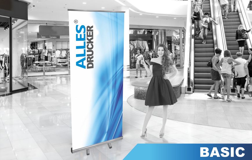 RollUp Display BASIV