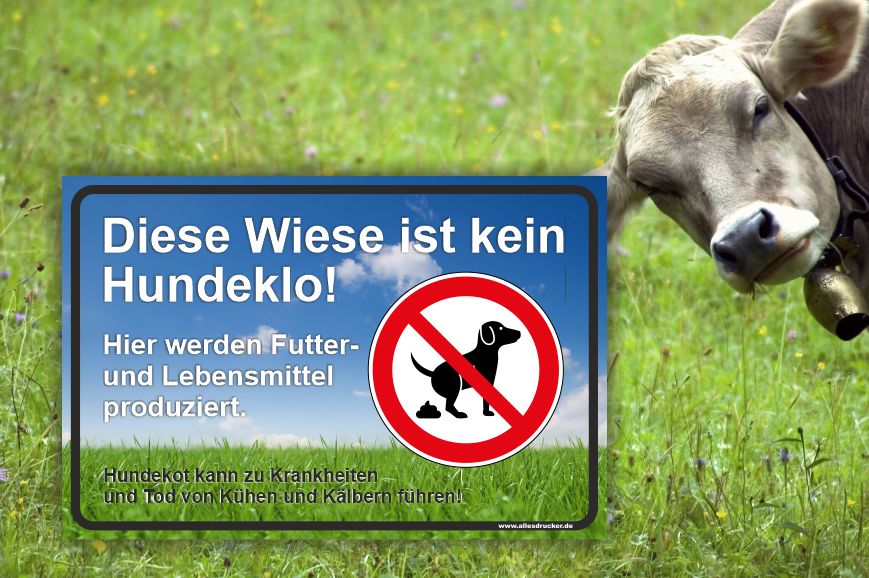 Diese Wiese ist Kein Hundeklo Schild quer